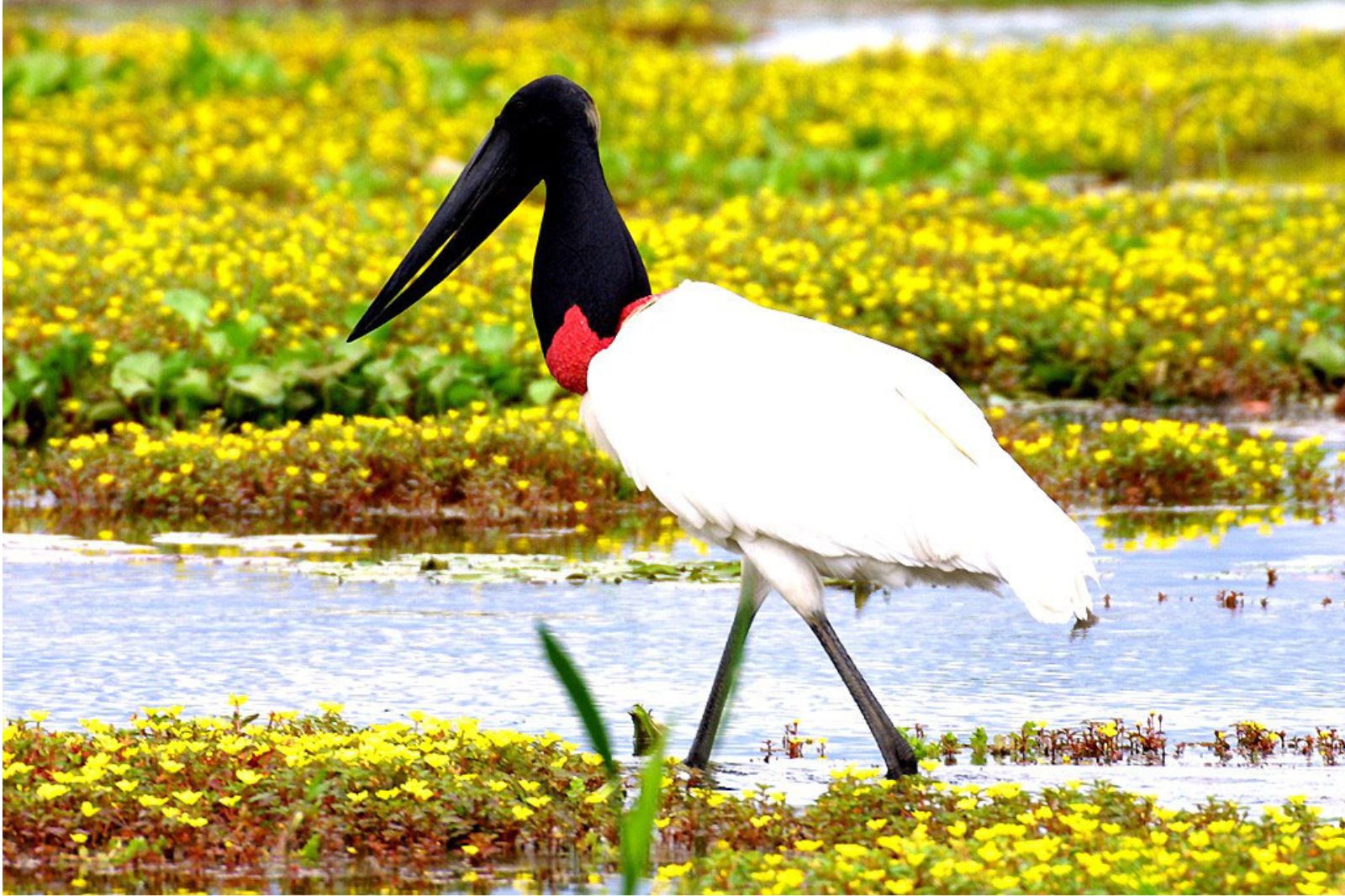 El paraíso natural que muy pocos paraguayos conocen