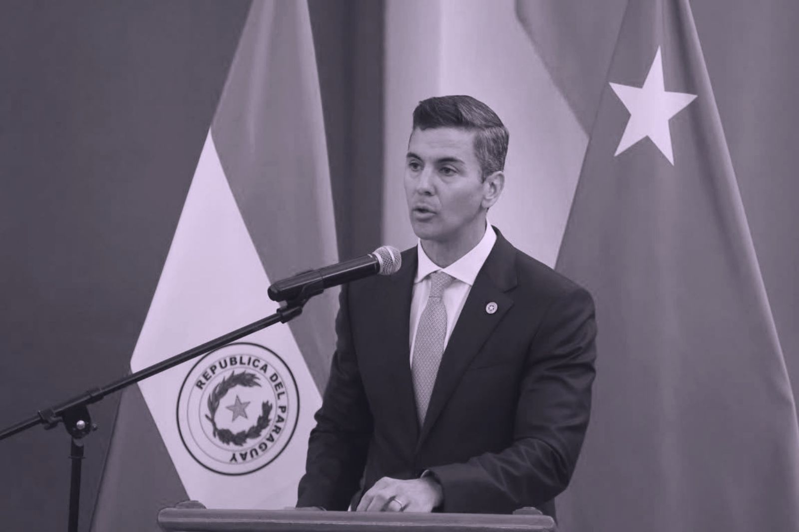 El segundo tiempo de Peña: la ANR redefine su hoja de ruta hacia 2028