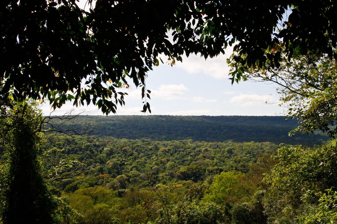 Ybycuí: 5.000 hectáreas donde todavía resiste el Bosque Atlántico