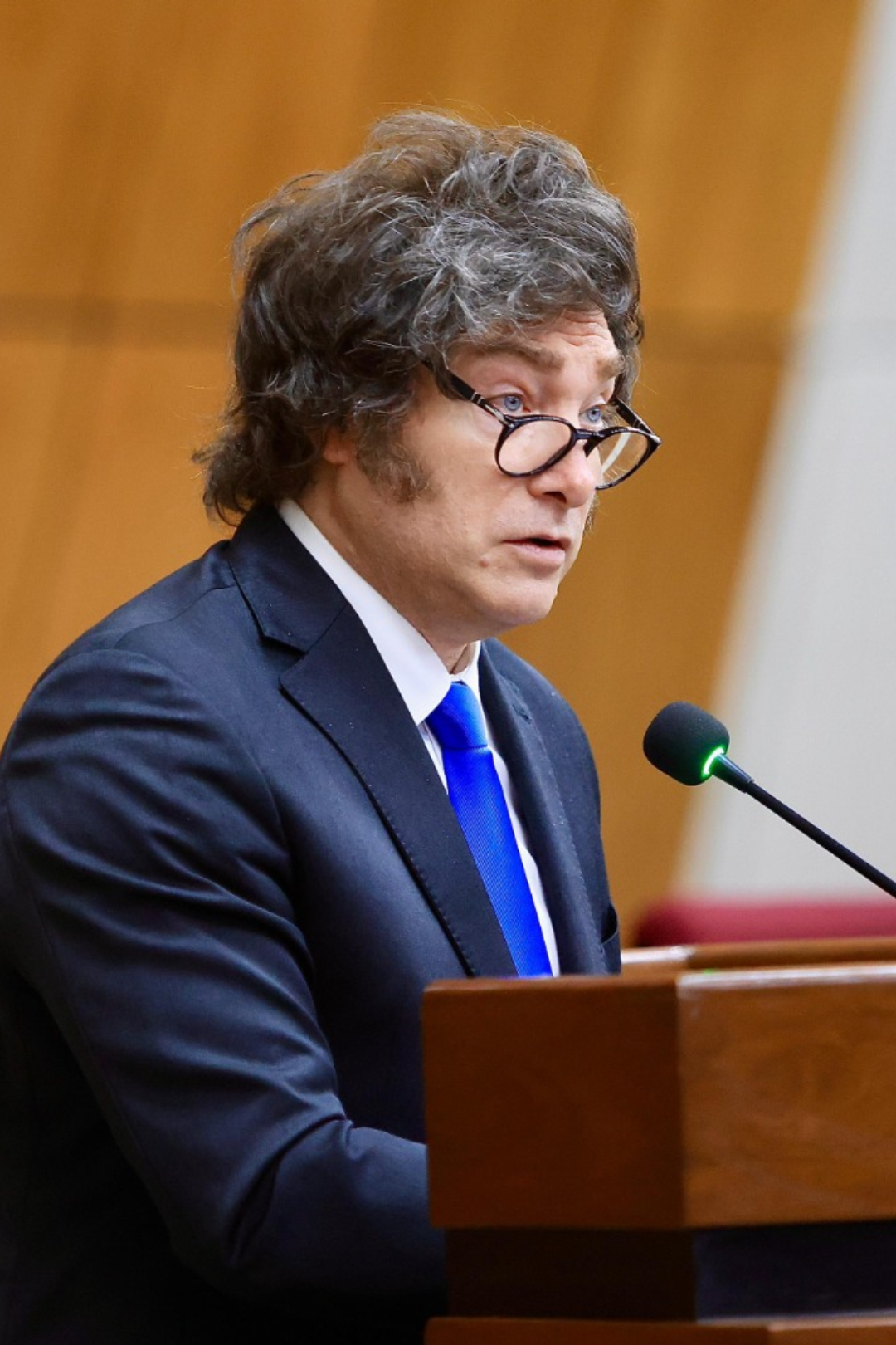 Javier Milei, Pte. de la República Argentina sesión solemne del Congreso Nacional Paraguayo